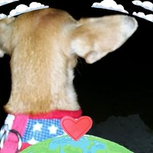 Meet your Posher, Ritchie